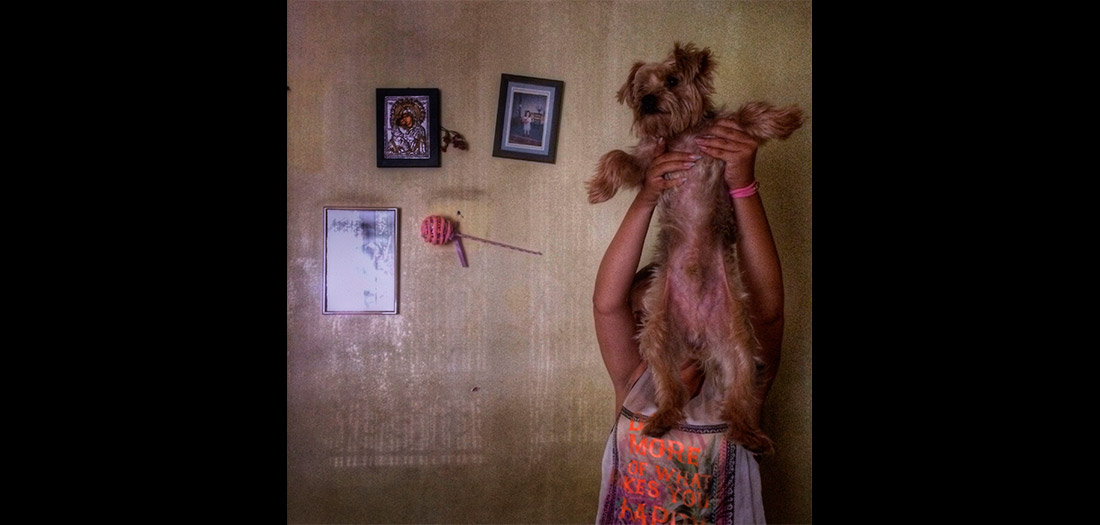 Emily Schiffer: Carrying History, 2014