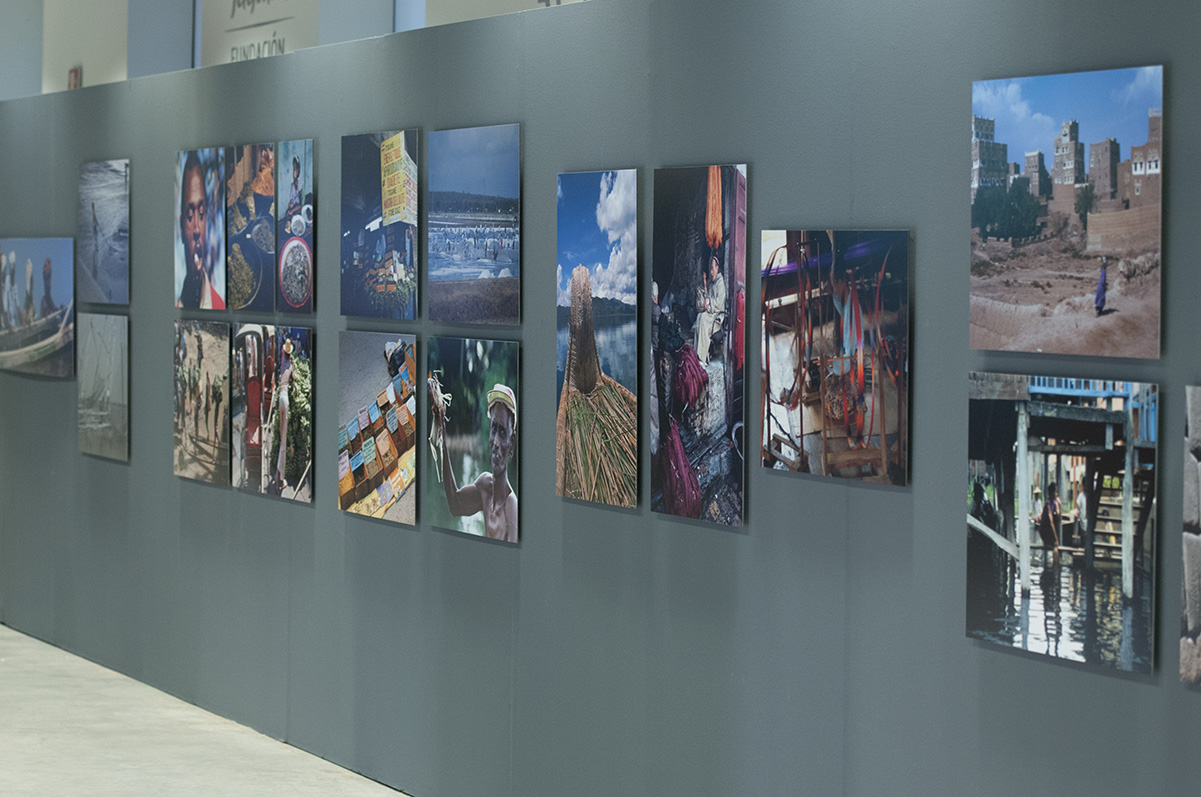 Exposición 'Diversidad Amenazada'