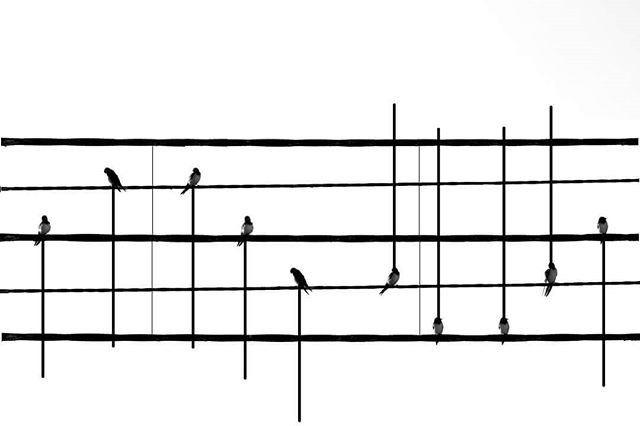 albaalal