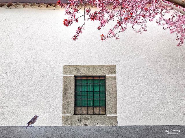 @fotosensible