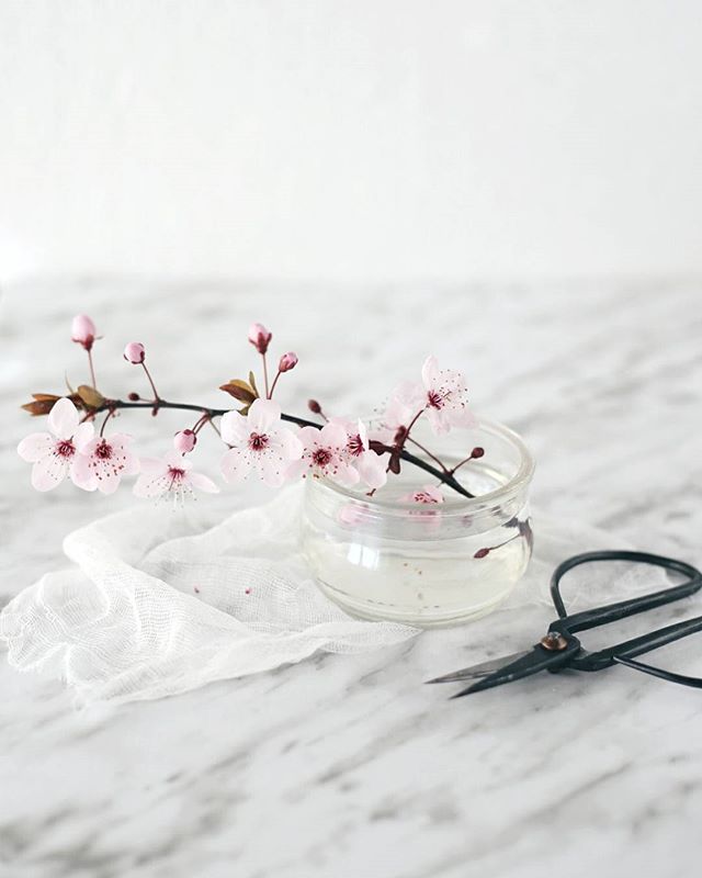 @myonceadayphoto