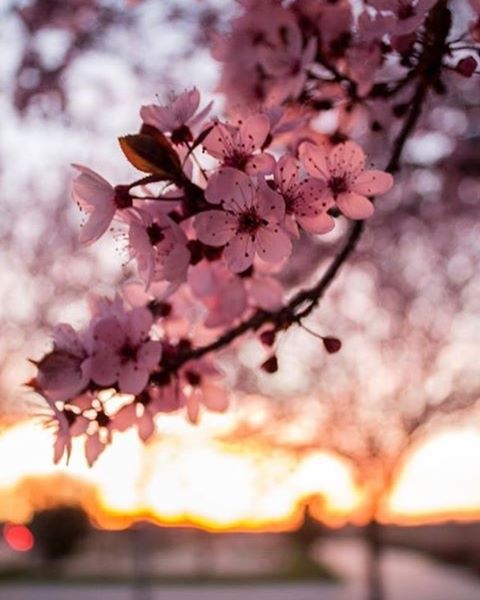 @pkassandra_worldphotography