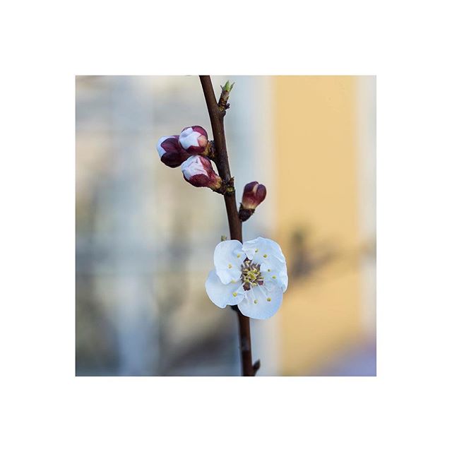 @sandra.matos.photography
