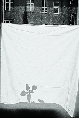 Julia Baier, 'Sin título' - Ciclo de trabajo "Geschwebe”, 2014 © Julia Baier