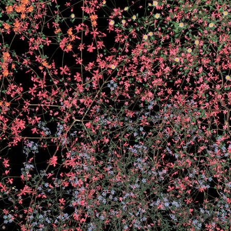 *Créditos: Irwin wall build © Jennifer Steinkamp. Courtesy Greengrassi London, and Lehmann Maupin, New York and Hong Kong. Photo by John Houck.