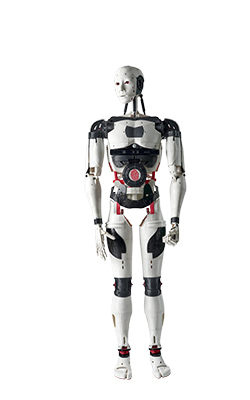 InMoov de Gaël Langevin, 2012.