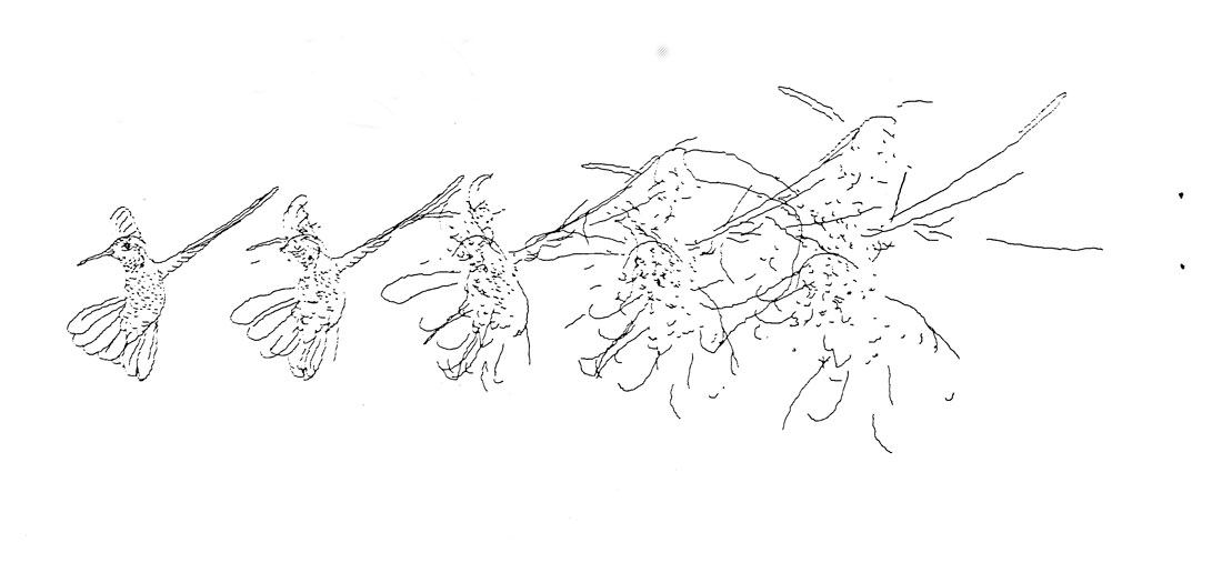 Foto: imagenesmy.com