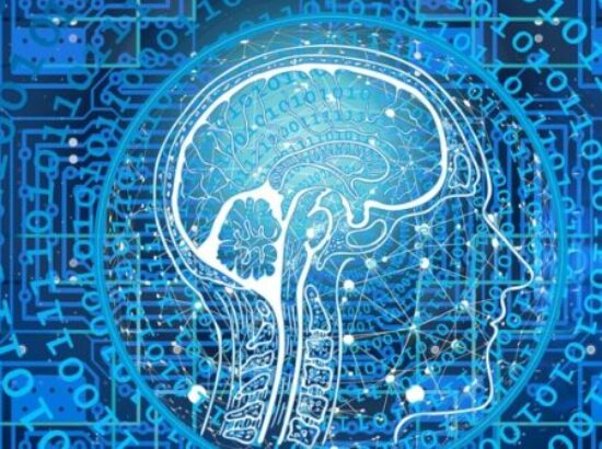 Entre el más allá y el más acá del sentido común