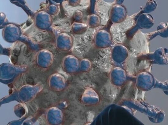 Miedo, egoísmo e ignorancia, los ingredientes del negacionismo