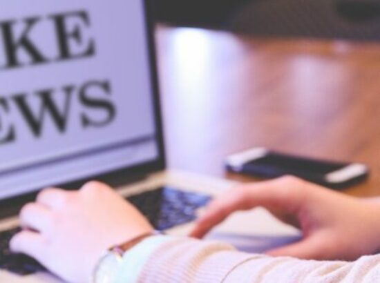 Taller Desinformación en línea