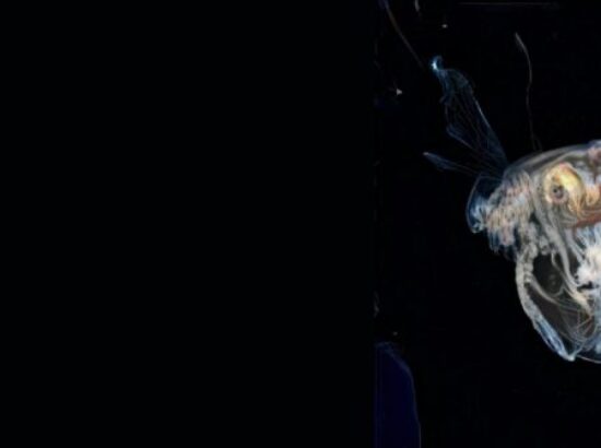 PhotoEspaña_ Imagen futura