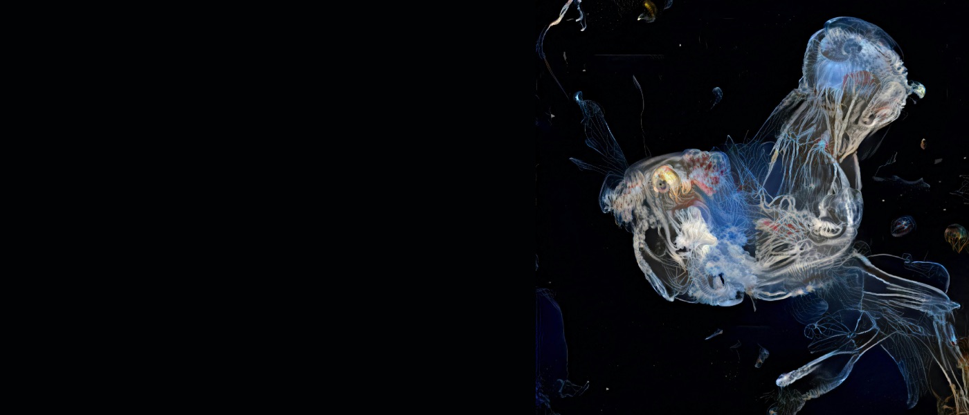 PhotoEspaña_ Imagen futura