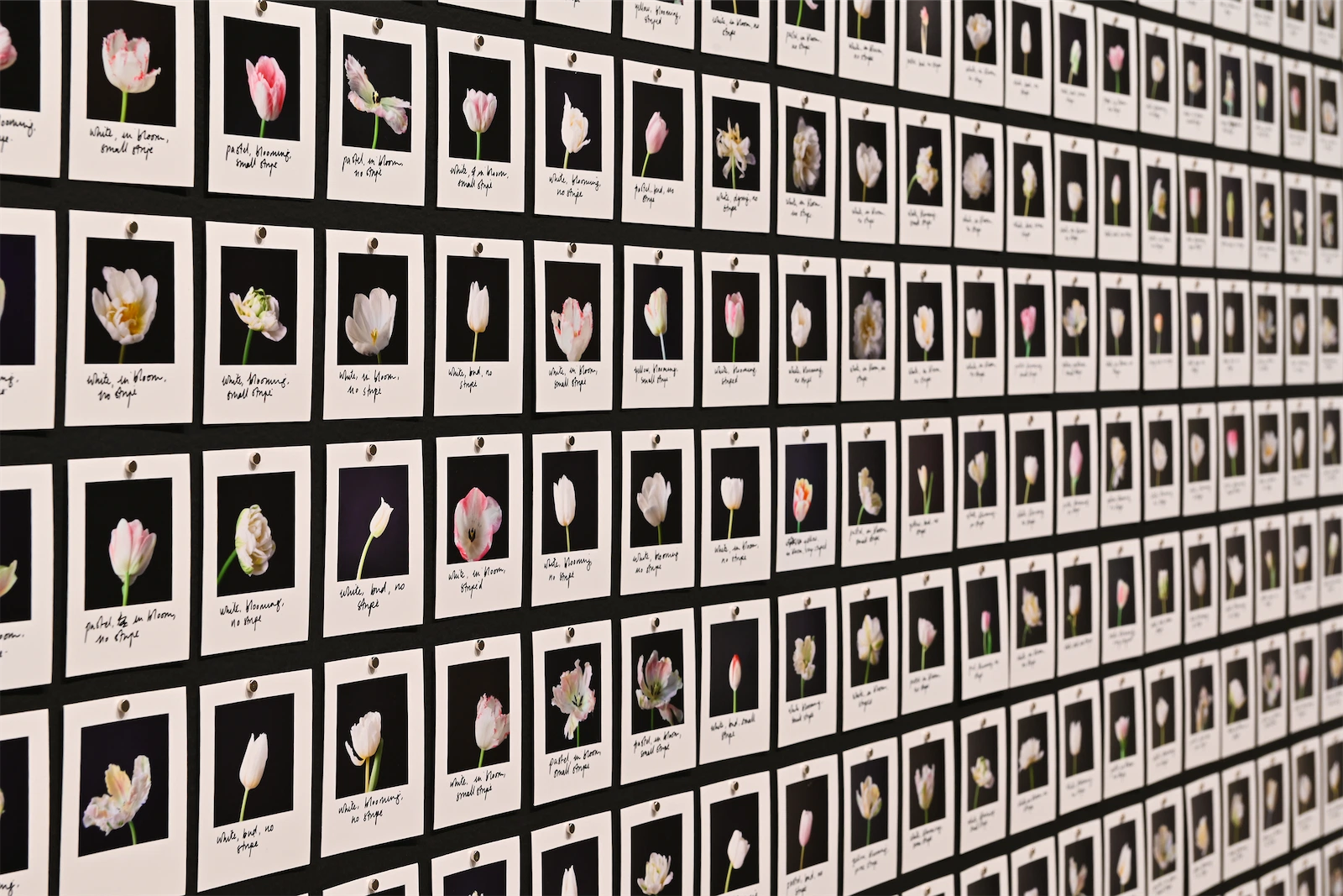 Fotos de Sala de la exposición El sueño de la razón